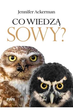 Co wiedzą sowy?