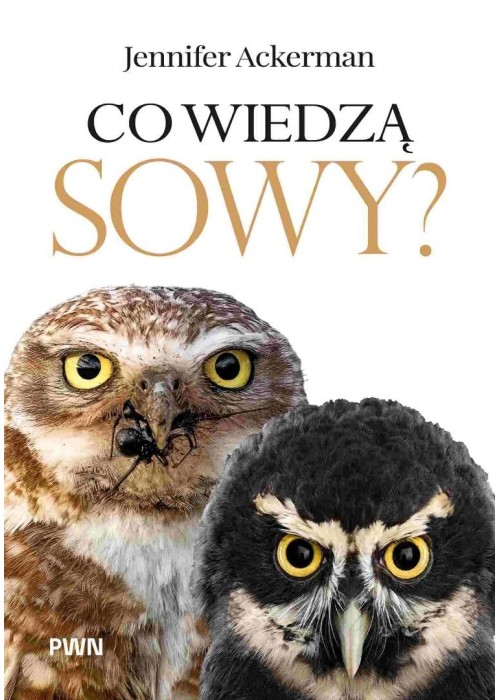 Co wiedzą sowy?