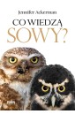 Co wiedzą sowy?