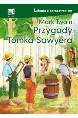 Przygody Tomka Sawyera. Lektura z oprac. w.2 TW