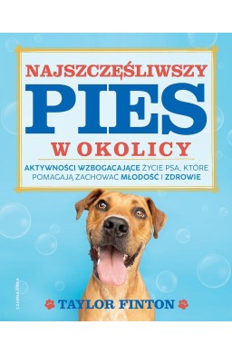 Najszczęśliwszy pies w okolicy