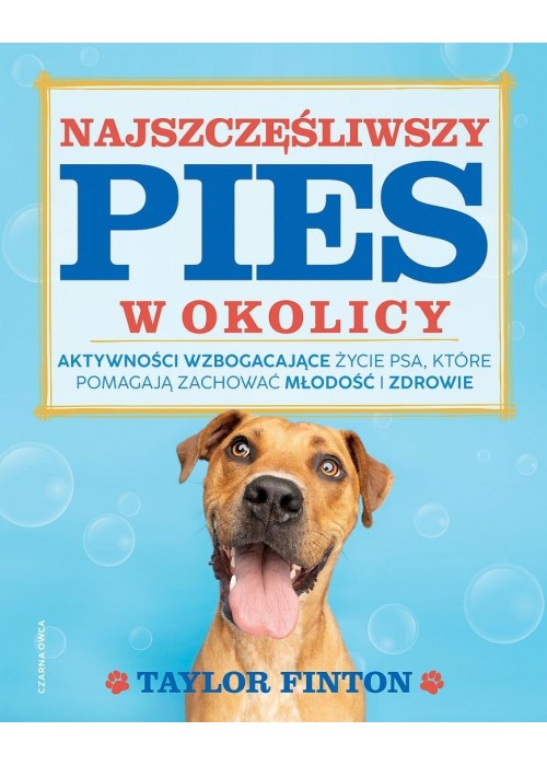 Najszczęśliwszy pies w okolicy