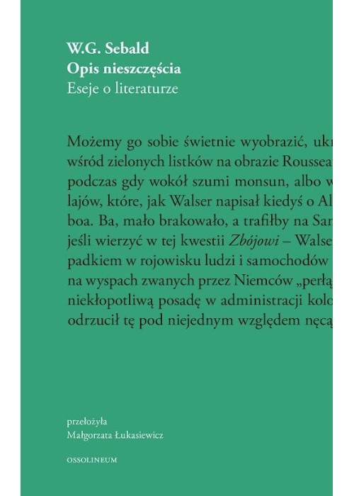 Opis nieszczęścia. Eseje o literaturze