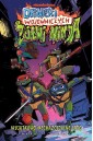 Opowieści wojowniczych żółwi ninja T.1