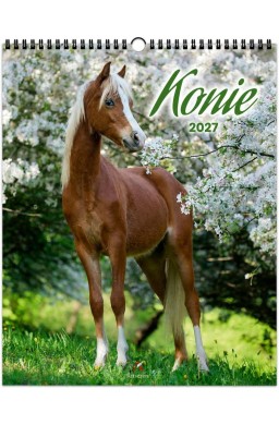 Kalendarz 2027 wieloplanszowy 34x44cm Konie