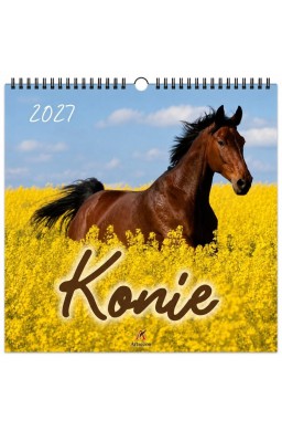 Kalendarz 2027 wieloplanszowy 33x33cm Konie
