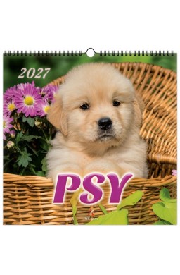 Kalendarz 2027 wieloplanszowy 33x33cm Psy