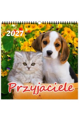 Kalendarz 2027 wieloplanszowy 33x33cm Przyjaciele