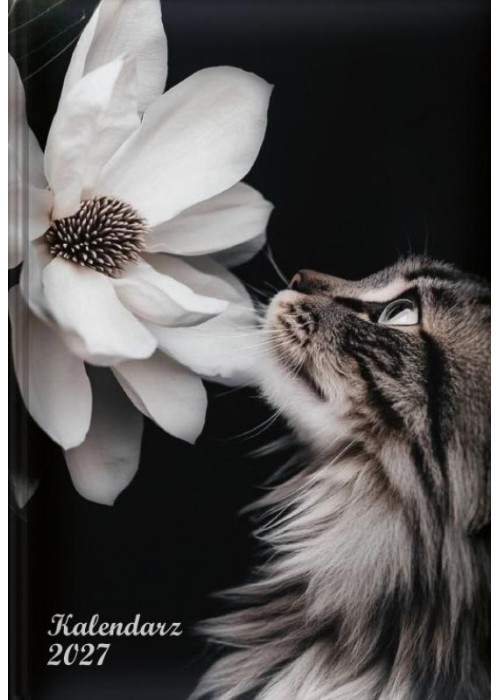Kalendarz 2027 tygodniowy kot z kwiatem