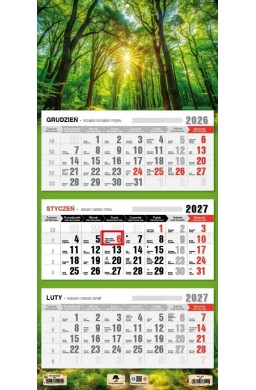 Kalendarz 2027 trójdzielny Las