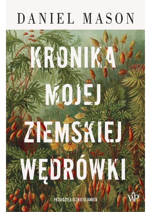 Kronika mojej ziemskiej wędrówki