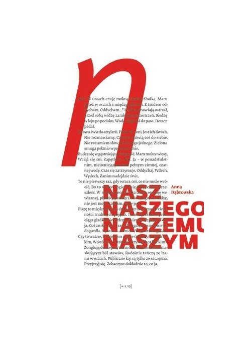 Nasz naszego naszemu naszym