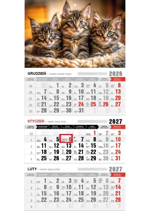 Kalendarz 2027 trójdzielny ekonomiczny kotki