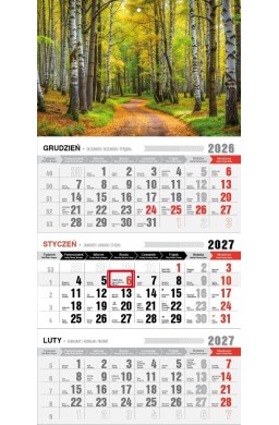 Kalendarz 2027 trójdzielny ekonomiczny las