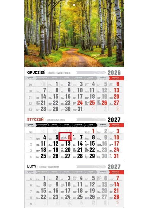 Kalendarz 2027 trójdzielny ekonomiczny las