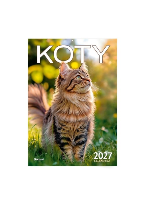 Kalendarz 2027 A4 ścienny Koty