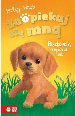 Zaopiekuj się mną. Biszkopcik, przyjacielski psiak