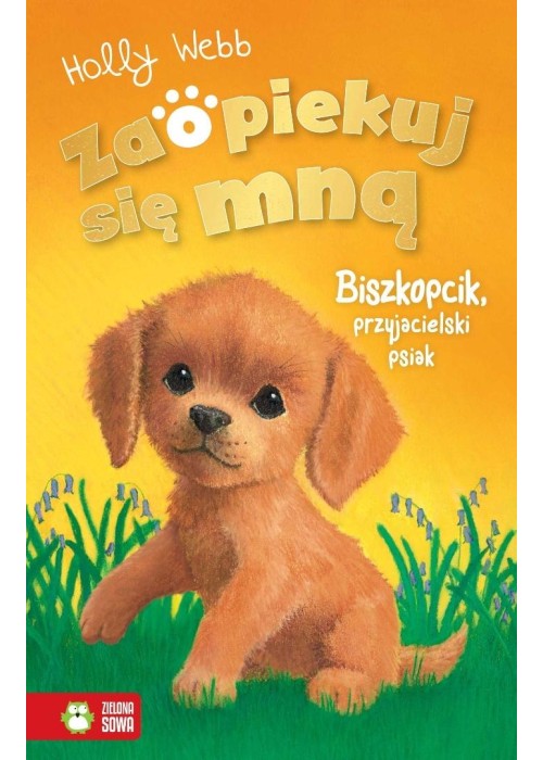 Zaopiekuj się mną. Biszkopcik, przyjacielski psiak