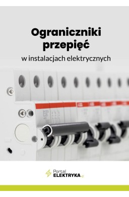 Ograniczniki przepięć w instalacjach elektrycznych