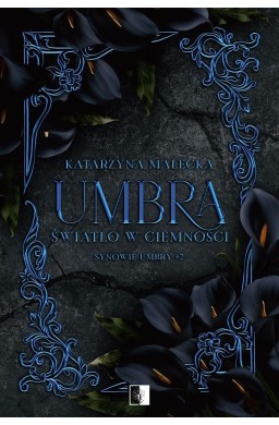 Synowie Umbry T.2 Umbra. Światło w ciemności