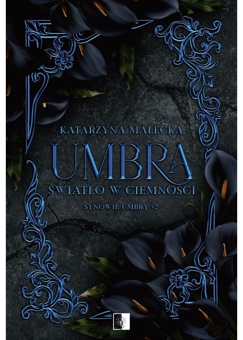 Synowie Umbry T.2 Umbra. Światło w ciemności