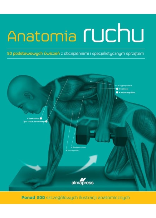 Anatomia ruchu. Podręcznik ćwiczeń