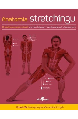 Anatomia stretchingu