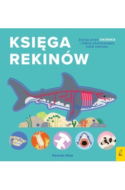 Encyklopedia z folią. Księga rekinów