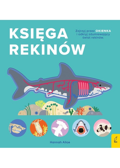 Encyklopedia z folią. Księga rekinów