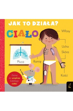 Jak to działa. Ciało
