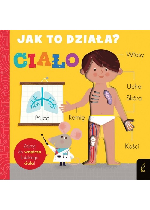 Jak to działa. Ciało