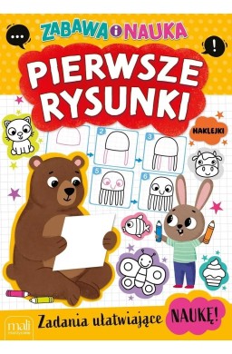Kolorowanka zabawa i nauka pierwsze rysunki