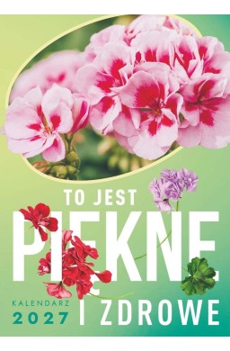 Kalendarz 2027 ścienny To jest piękne i zdrowe