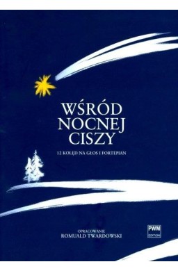 Wśród nocnej ciszy