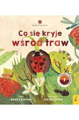 Młodzi przyrodnicy. Co się kryje wśród traw
