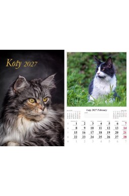 Kalendarz 2027 ścienny Koty