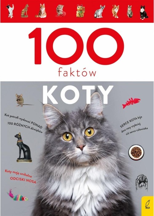 100 faktów. Koty