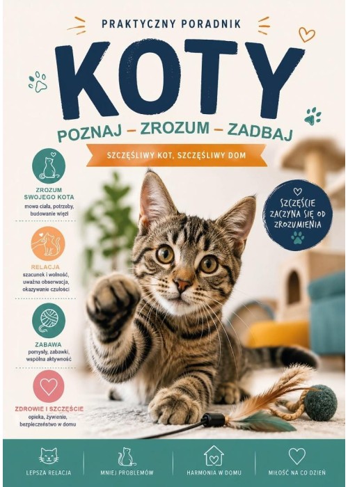 Koty. Praktyczny poradnik