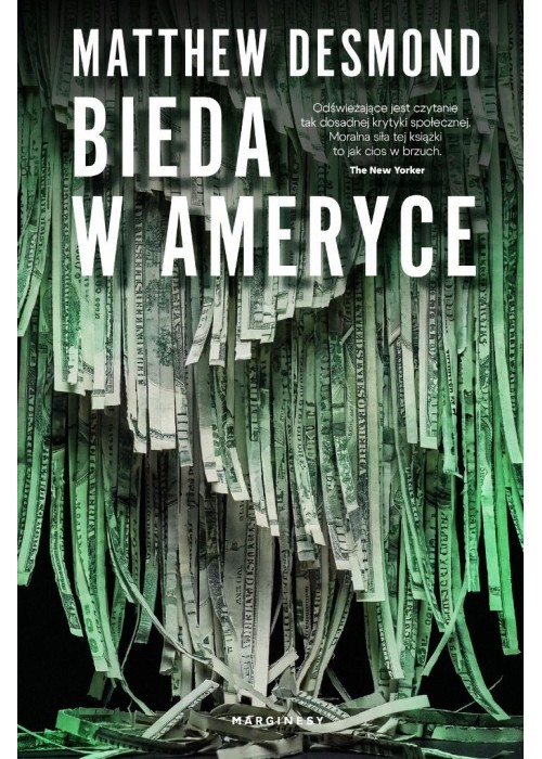 Bieda w Ameryce