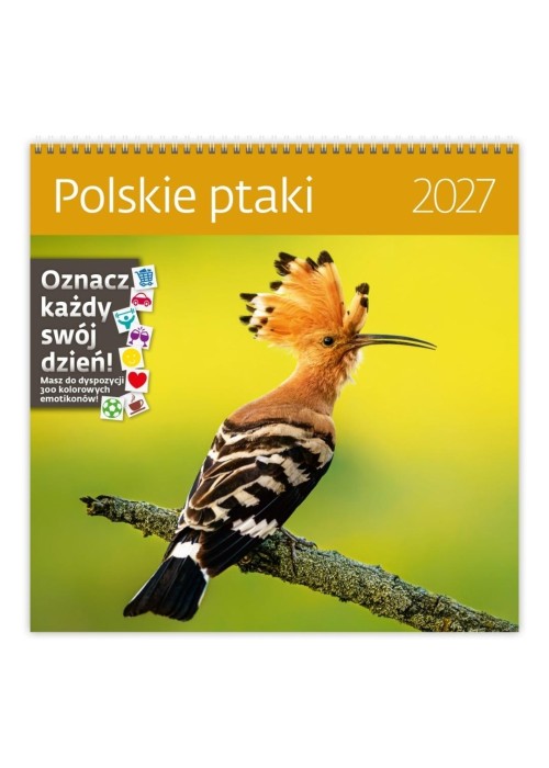 Kalendarz 2027 ścienny 30x30cm Polskie ptaki HELMA