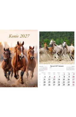 Kalendarz 2027 ścienny Konie