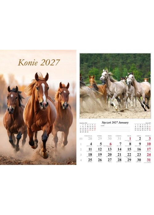Kalendarz 2027 ścienny Konie