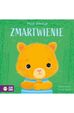 Moje emocje. Zmartwienie