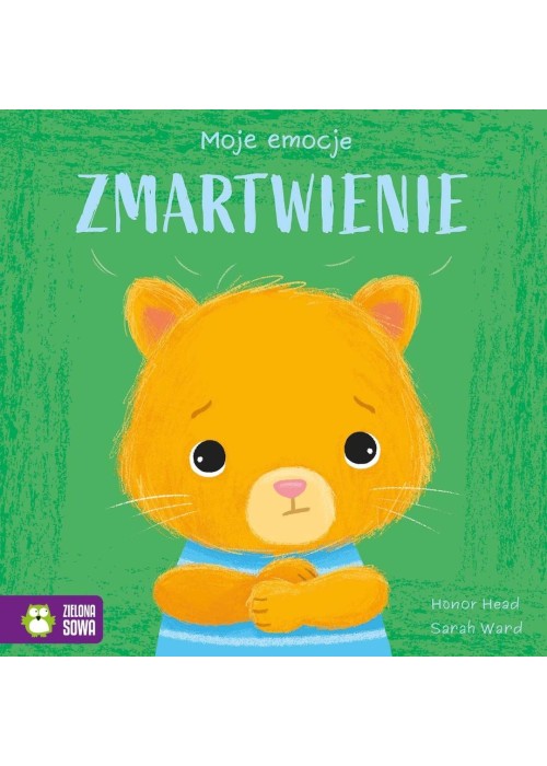 Moje emocje. Zmartwienie