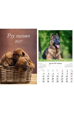Kalendarz 2027 ścienny Psy rasowe