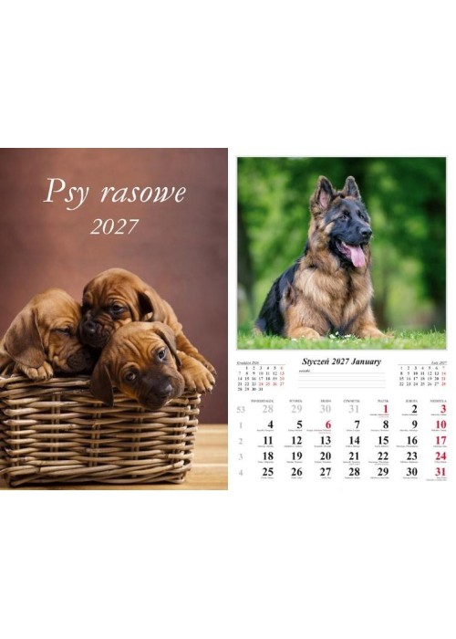 Kalendarz 2027 ścienny Psy rasowe