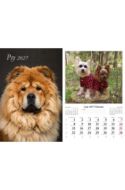 Kalendarz 2027 ścienny Psy