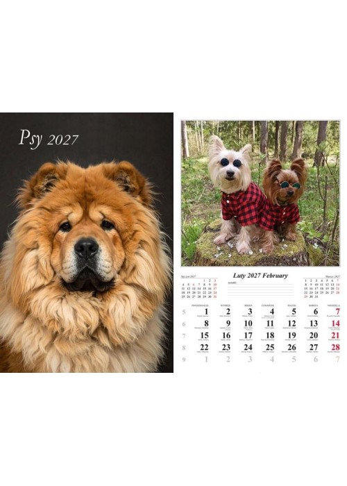 Kalendarz 2027 ścienny Psy