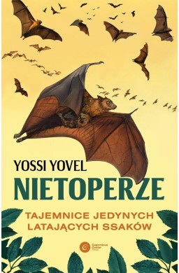 Nietoperze. Tajemnice jedynych latających ssaków