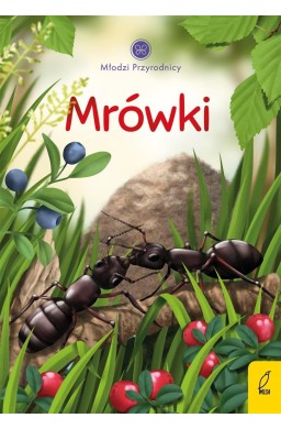 Młodzi przyrodnicy. Mrówki